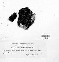 Image Associated With the Occurence